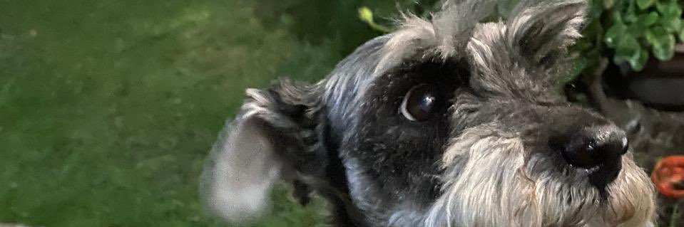 row_poo's profile banner image