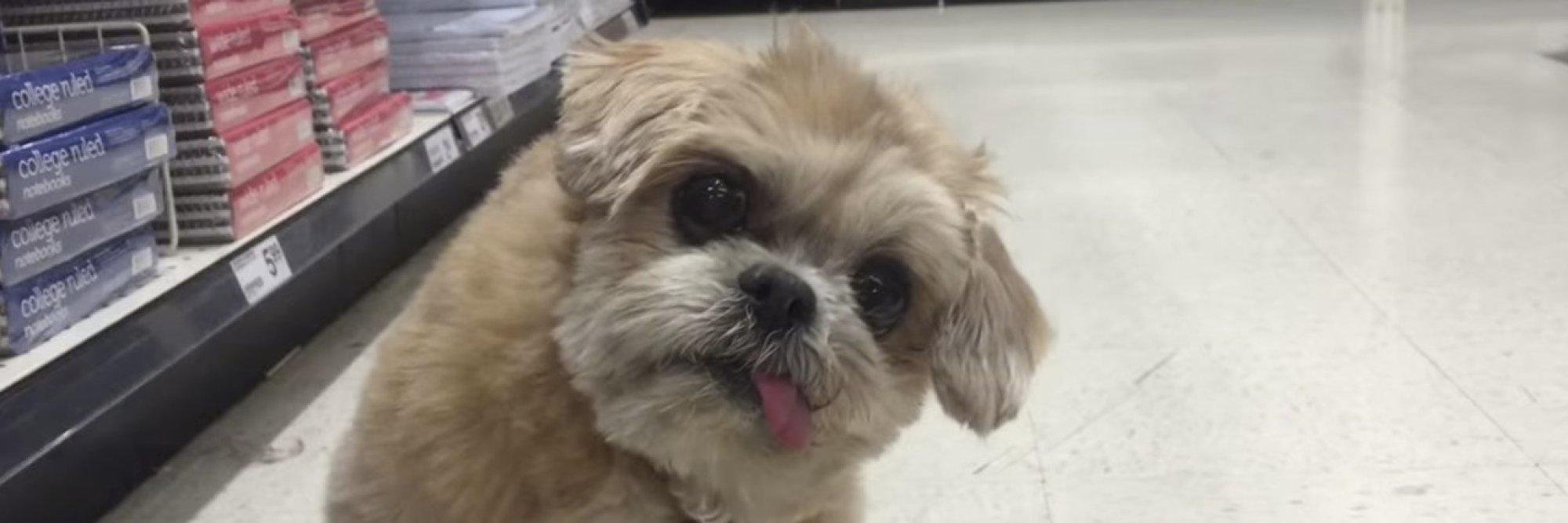 deppythedog's profile banner image