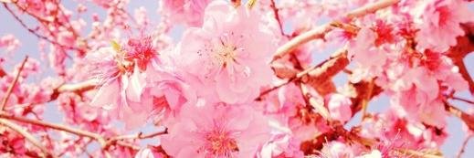 mrnnrmde's profile banner image