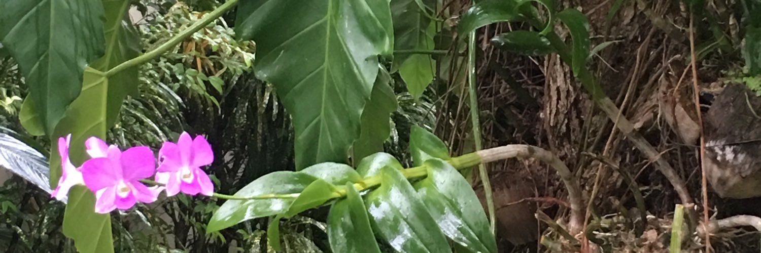 denisesnyderRMT's profile banner image