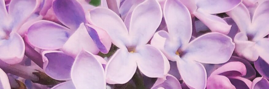rfj banner