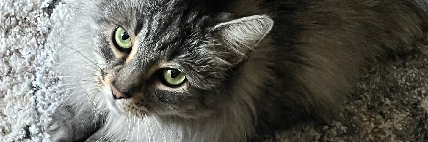 A. “Jinnie” McManus banner