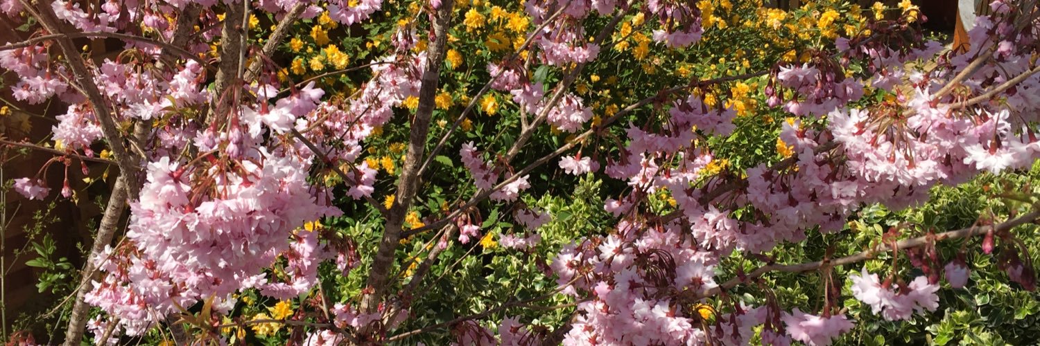 FuschiaEvents's profile banner image