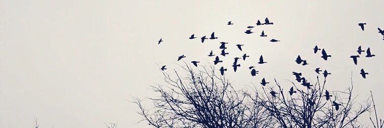 kmarques_'s profile banner image