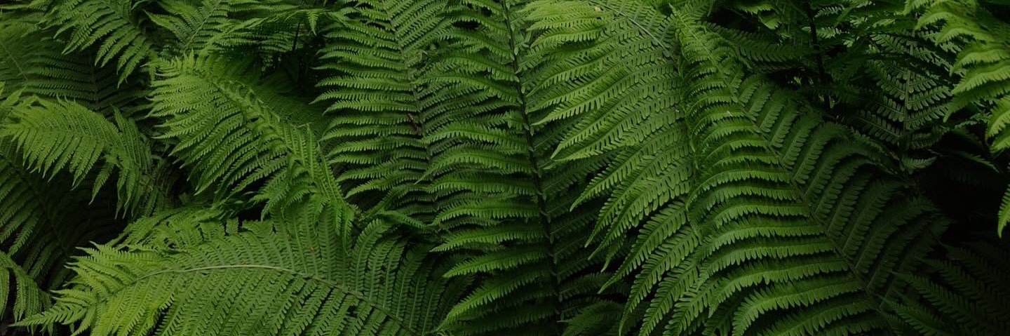 kynamaste's profile banner image