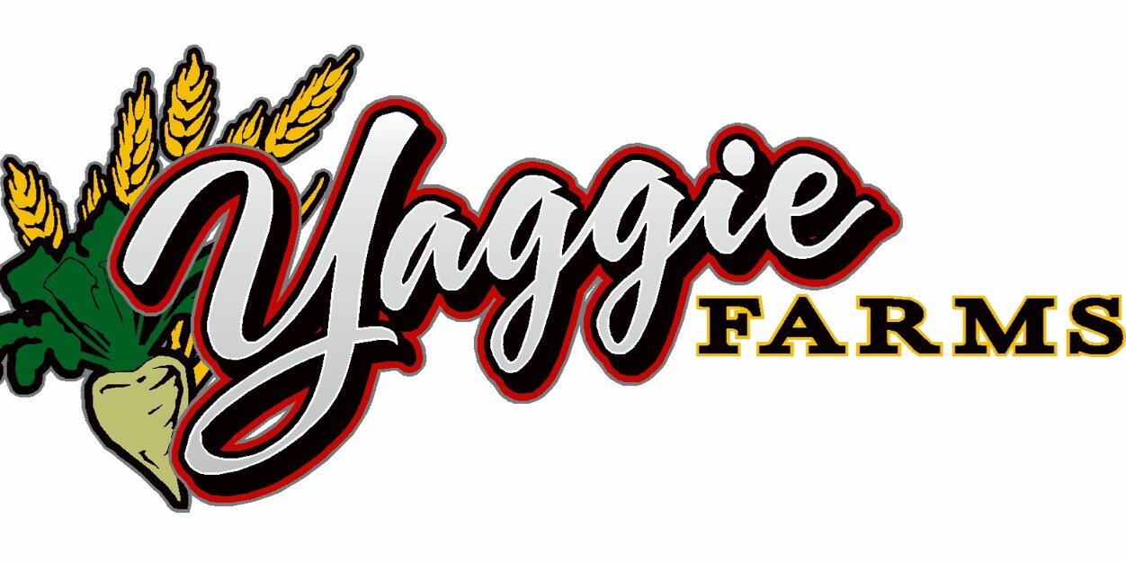 Yagz58's profile banner image
