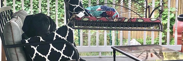 KariDebbink Profile Banner