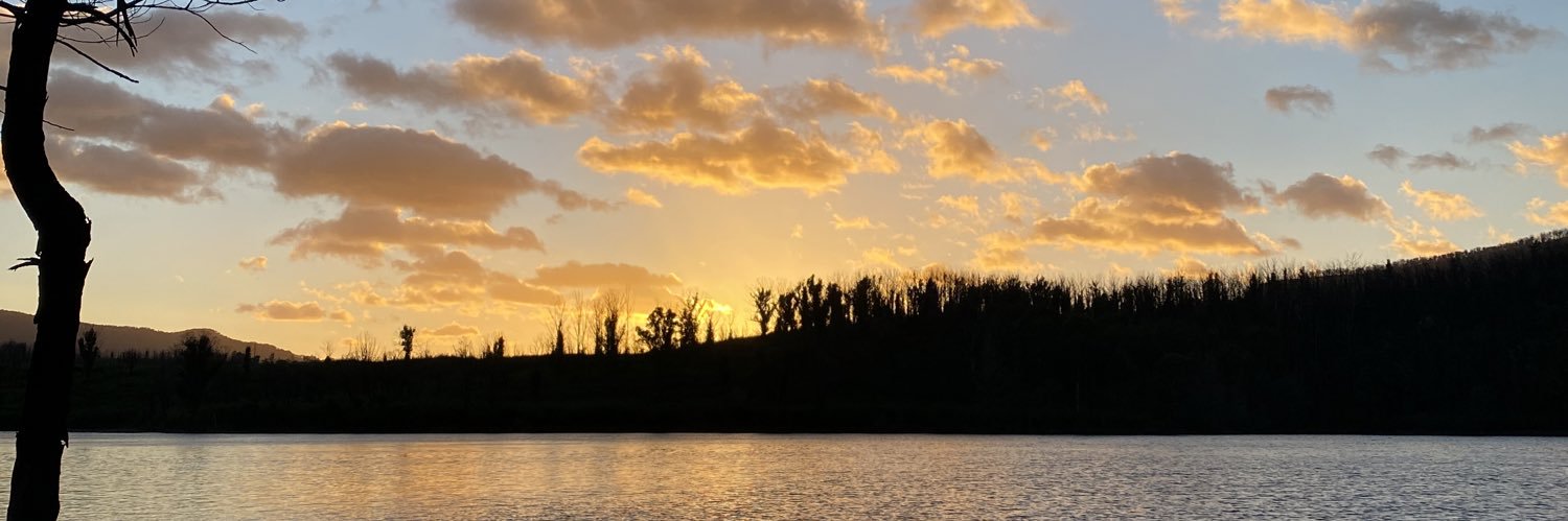 JRoggyRog's profile banner image