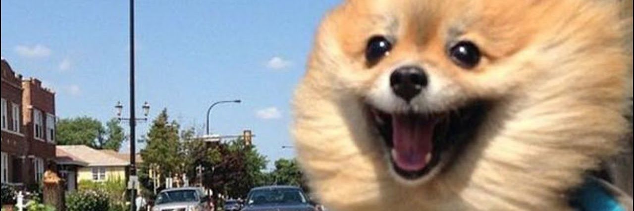 cxrlus2's profile banner image