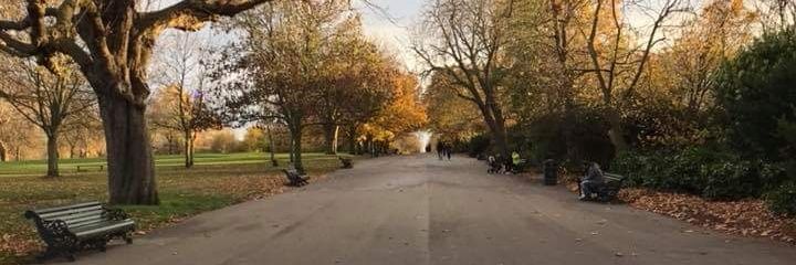 Hanna Mepstead banner