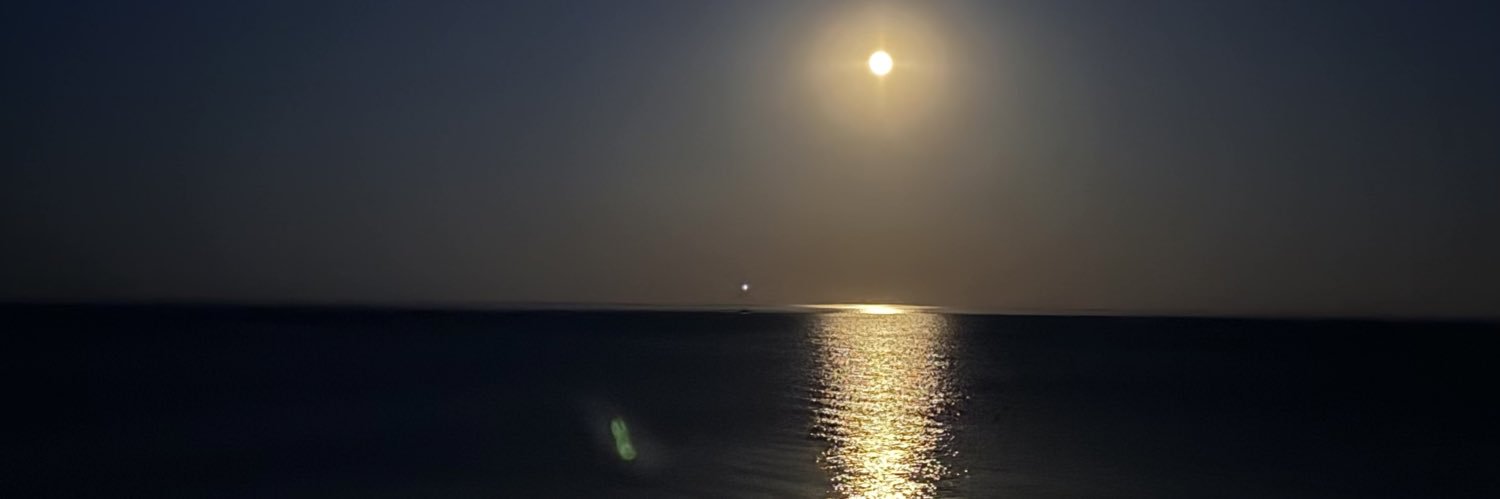 nisemb_'s profile banner image