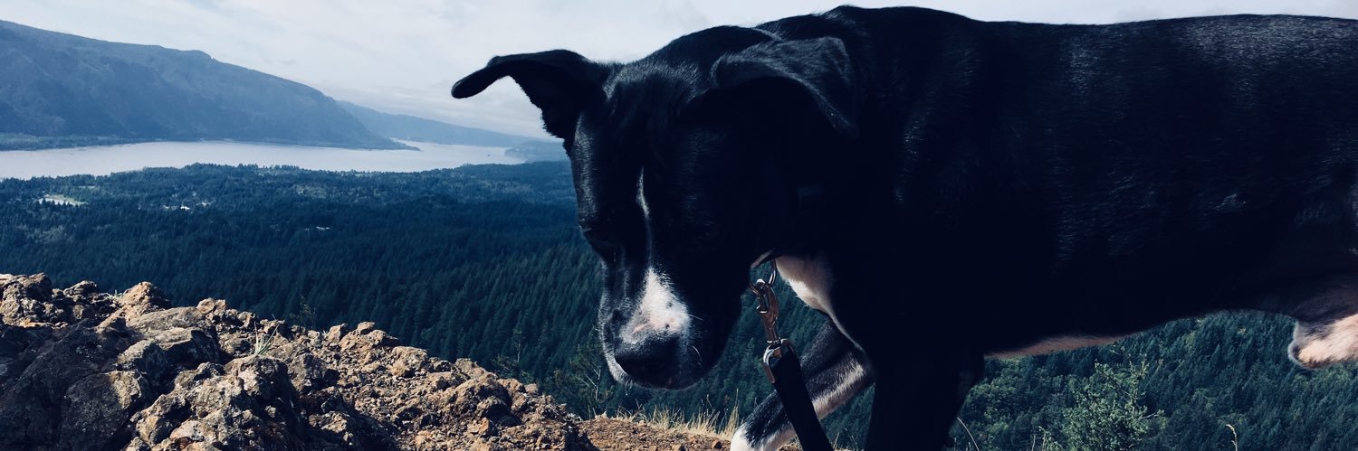 coconocereal's profile banner image