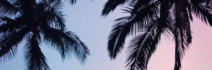 CharlottePughx's profile banner image