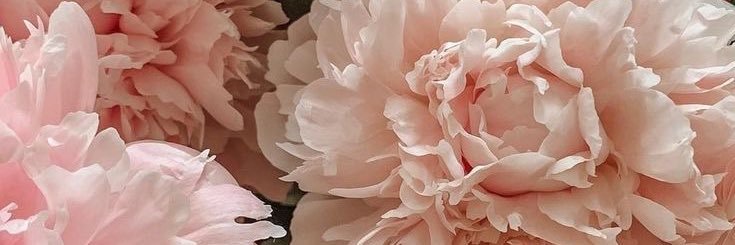 gregafu06's profile banner image