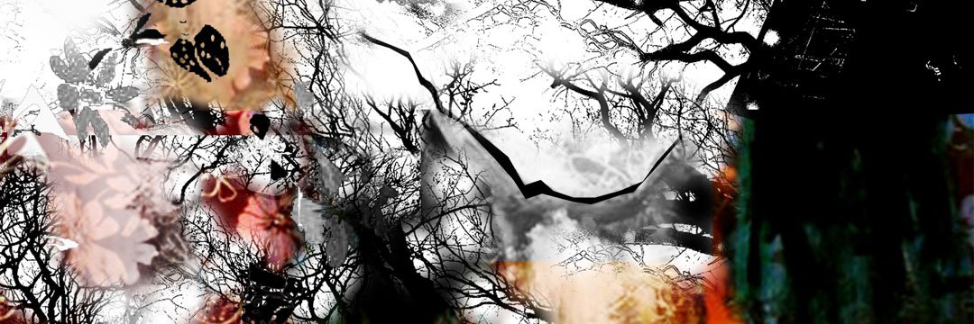 DARLINPENHA's profile banner image