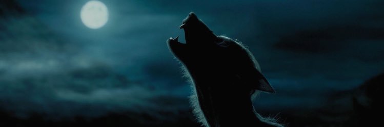 slythrnblack's profile banner image