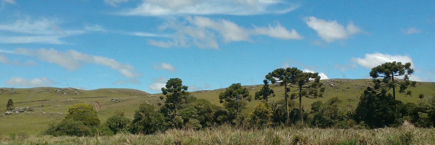 Fernanda Avila banner