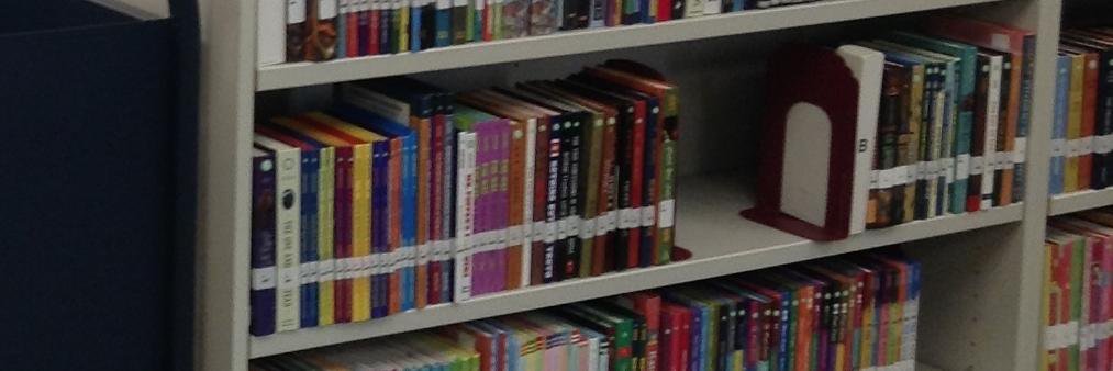 Discovery Library banner