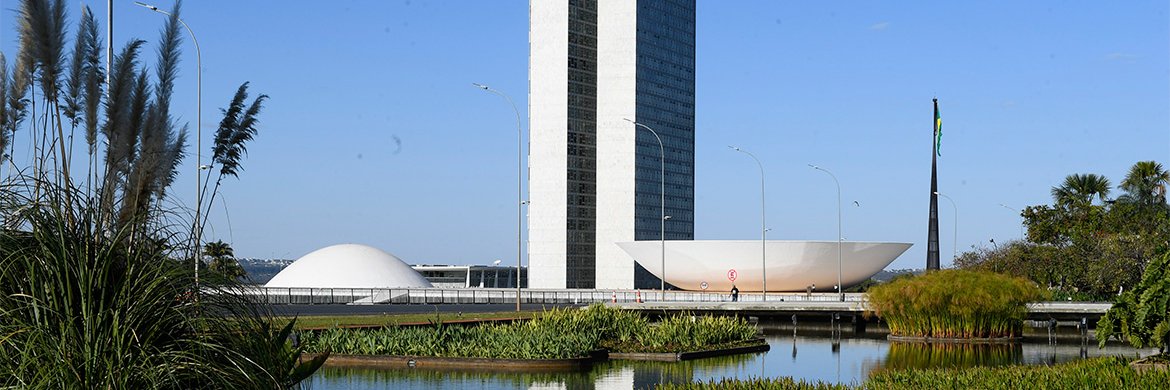 Senado Federal's banner