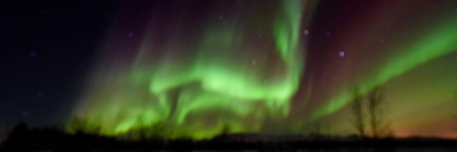 Dr Nikita Ved MBE banner