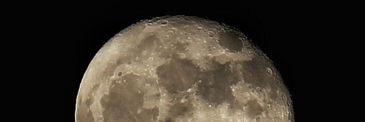 DWTV's profile banner image