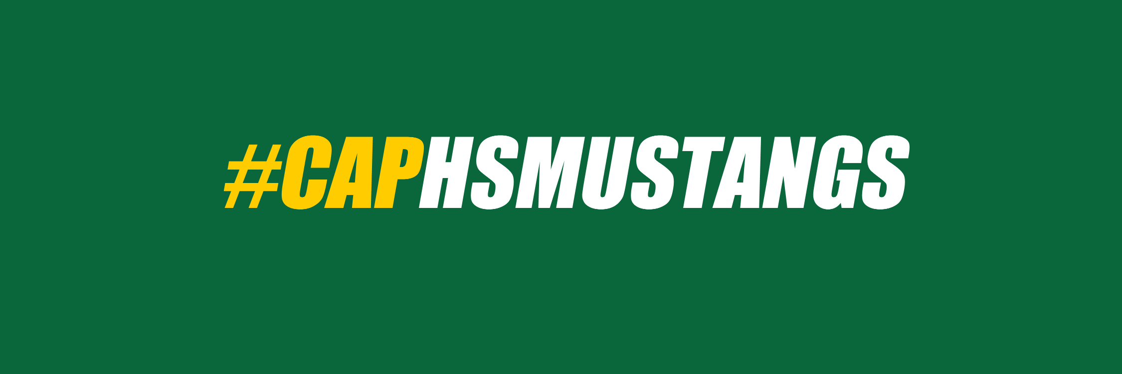 caphighmustangs's profile banner image