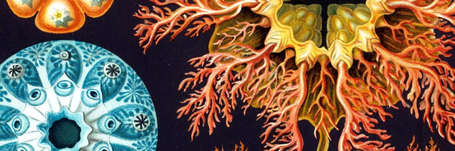 tosullivan06's profile banner image