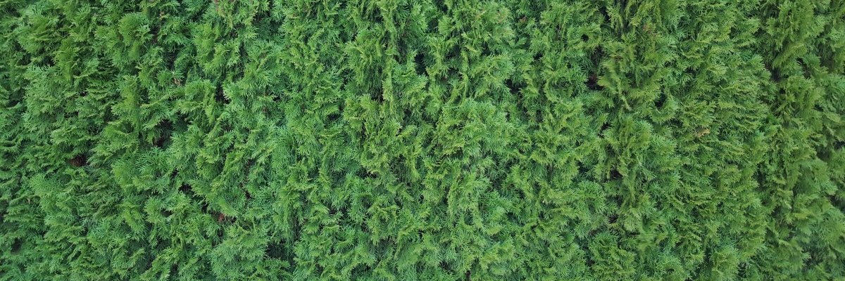 FieldTwins's profile banner image