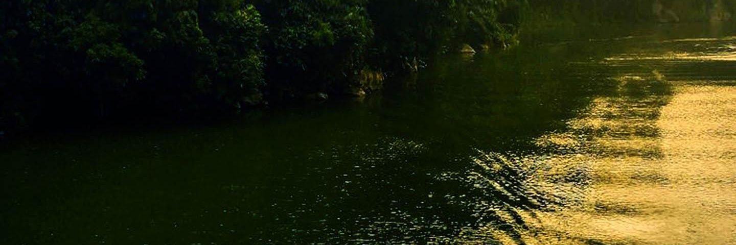 lopezfa_10's profile banner image