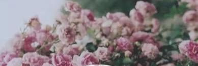 ClarissaShae's profile banner image