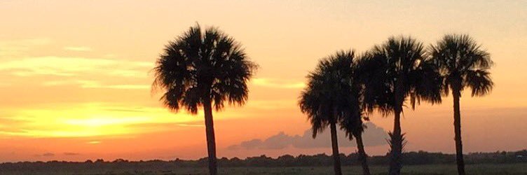 Scott_Martin28's profile banner image