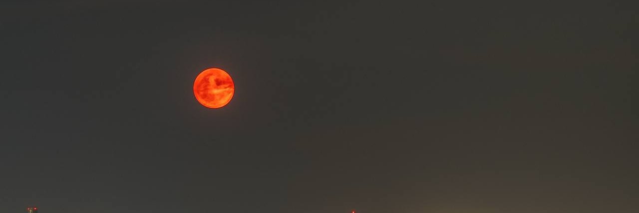cekcnn's profile banner image