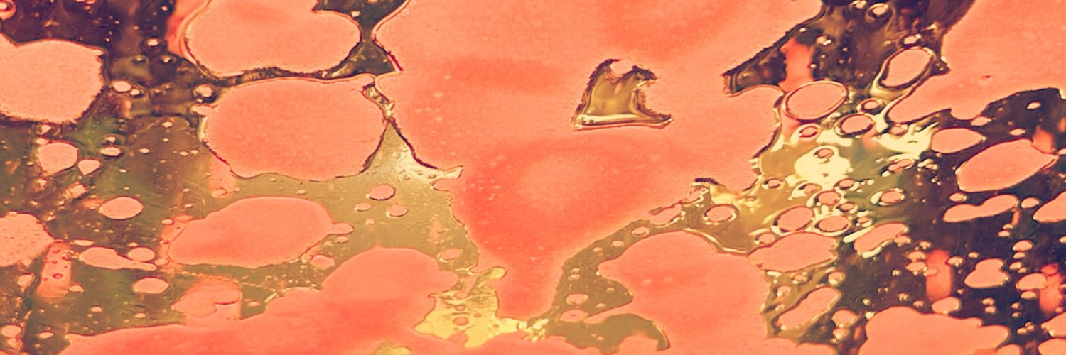 FrogBodyyy's profile banner image