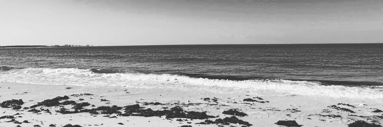 gatorjas's profile banner image
