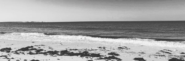 gatorjas Profile Banner