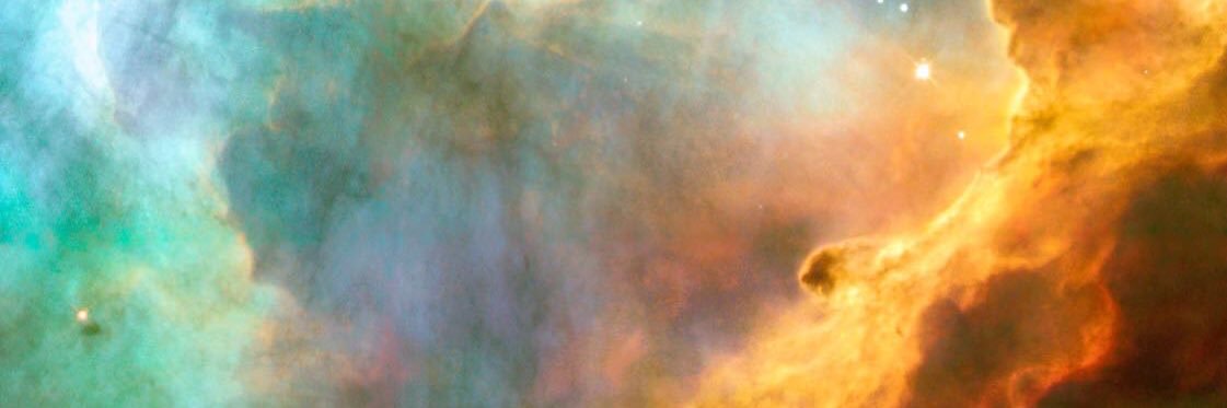 meganhowden's profile banner image