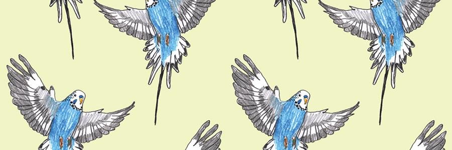 BudgieBlue's profile banner image