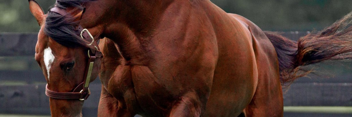 sequelfarms's profile banner image