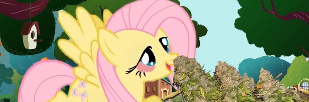 GiuB98's profile banner image