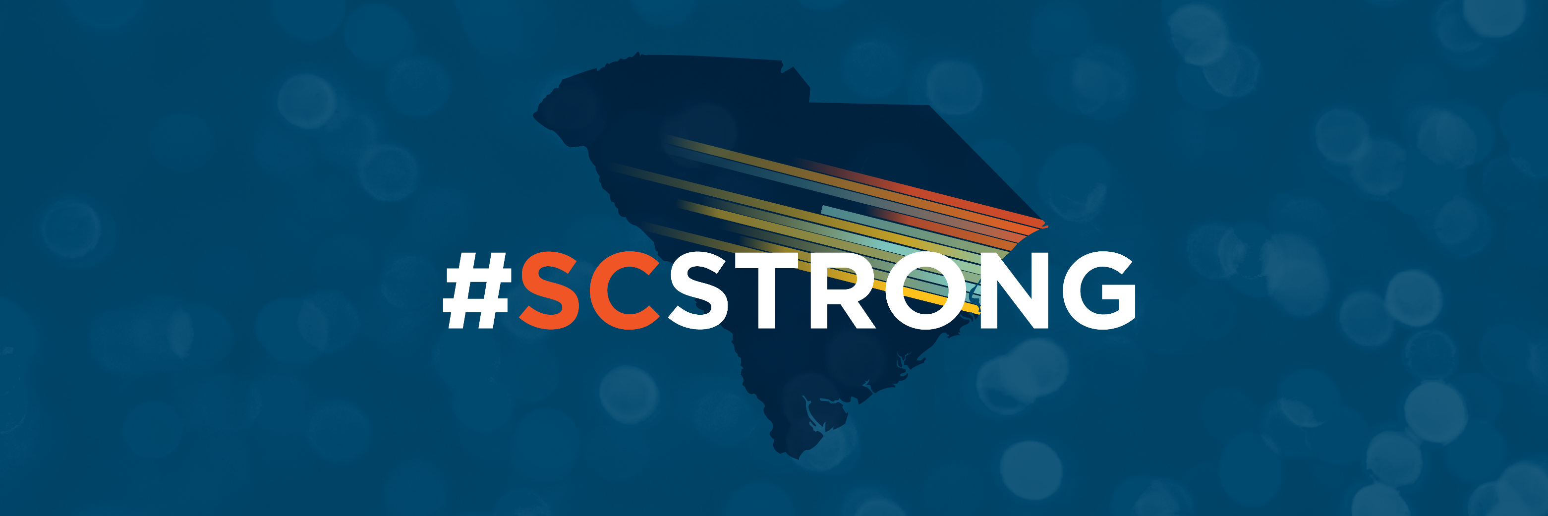 TheMidlandsSC's profile banner image