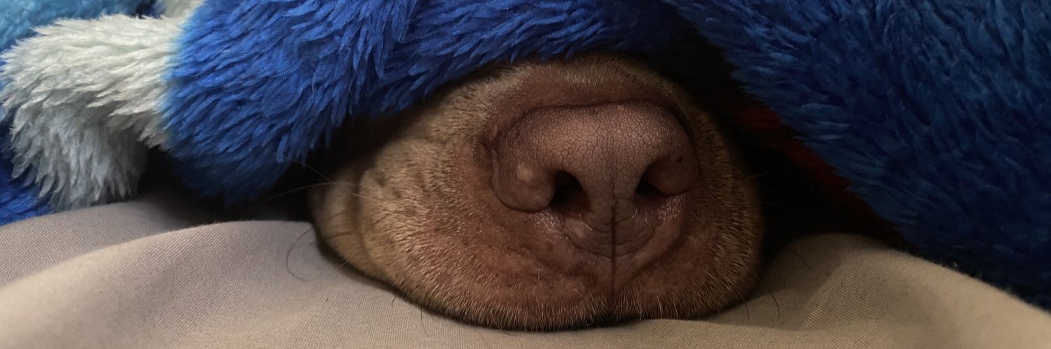 Dat_Mexipino's profile banner image