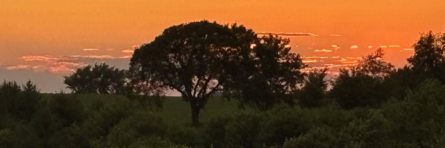 whuseth's profile banner image