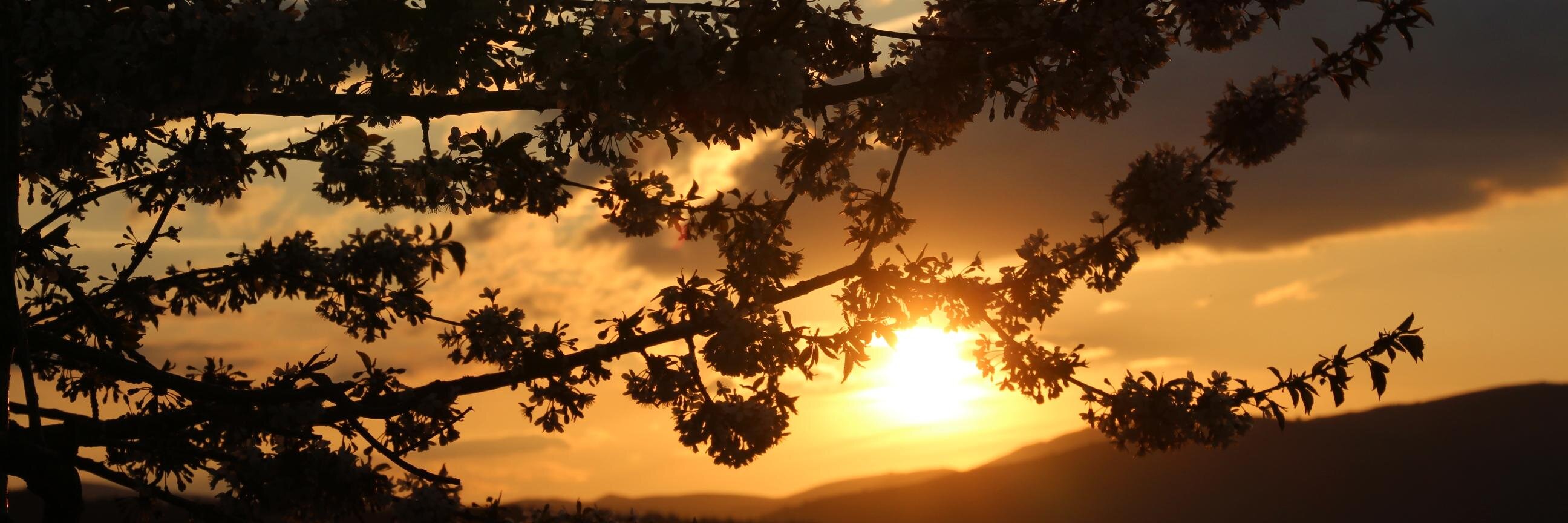 Anna_Campmany's profile banner image