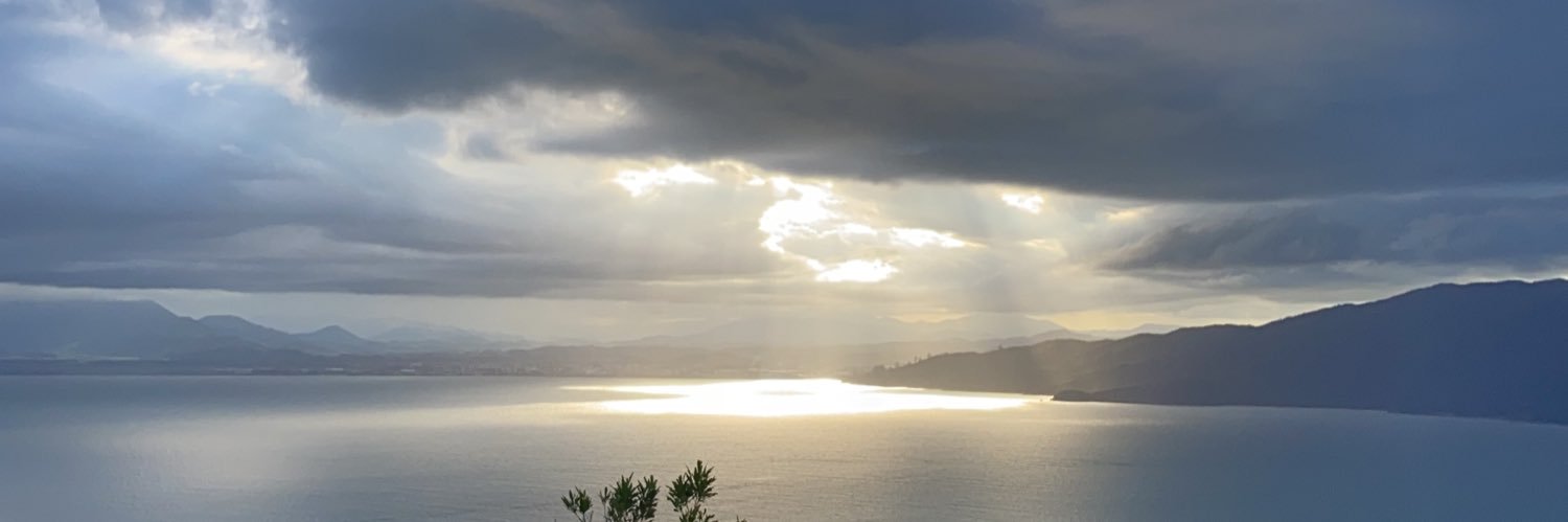 _ingridschmitt's profile banner image