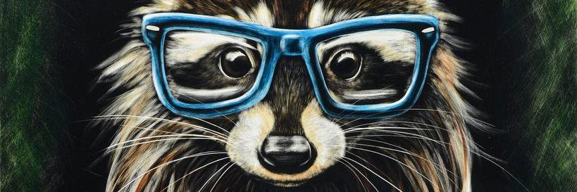 RaccoonInBlue's profile banner image