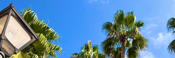 Bugsy 🏴󠁧󠁢󠁳󠁣󠁴󠁿🇮🇪🇵🇸 banner