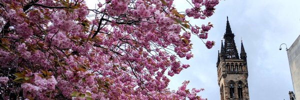 PublicHealthUoG Profile Banner