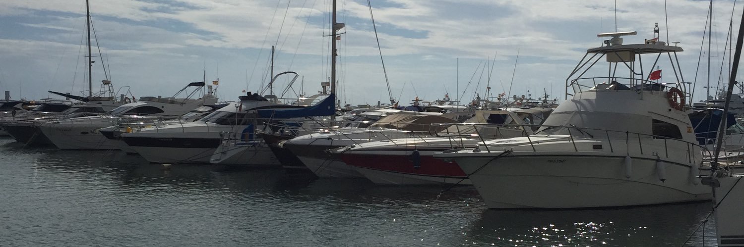 alaa : علاء banner