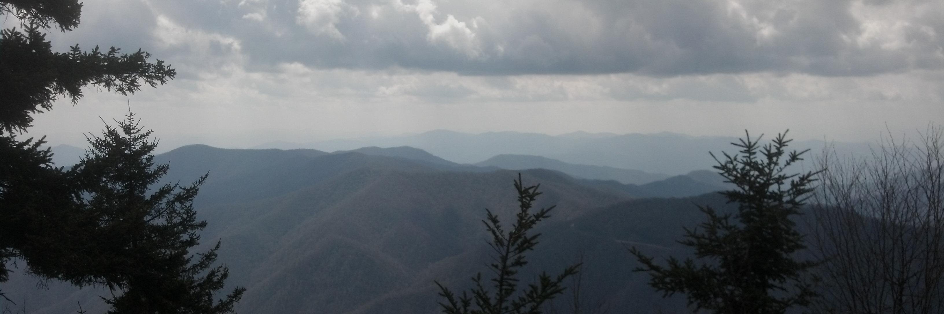 lynndifiore's profile banner image
