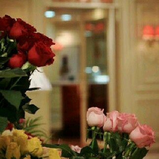 HaifaIbrahim42's profile banner image